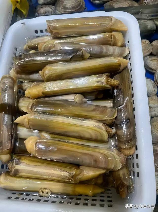 2个菜661元吃完才说价格网友直摇头开元