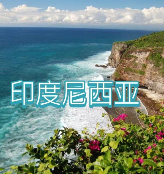 国际电商(印尼)产业博览会开元棋牌网站2025中国(图2)