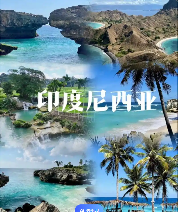 国际电商(印尼)产业博览会开元棋牌网站2025中国(图3)